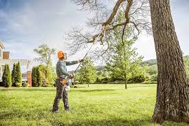 Best Grass Overseeding  in Fayette, OH