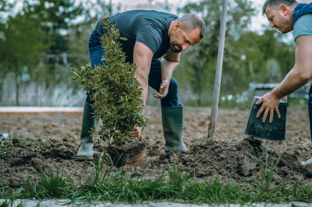 Best Utility Line Clearance  in Fayette, OH