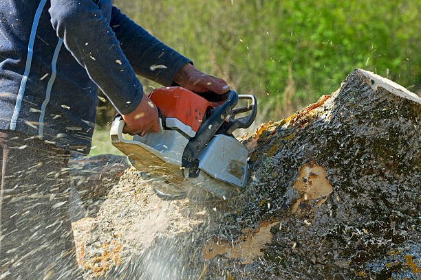 Best Aeration Services  in Fayette, OH